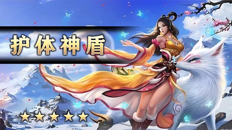护体神盾